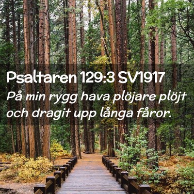 Picture 02 - Psaltaren 129:3 SV1917 - På min rygg hava plöjare plöjt och dragit upp - Bible Verse Picture