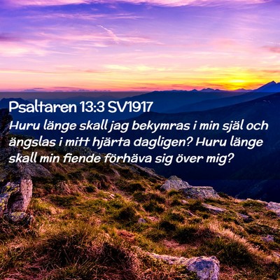 Picture 02 - Psaltaren 13:3 SV1917 - Huru länge skall jag bekymras i min själ och - Bible Verse Picture