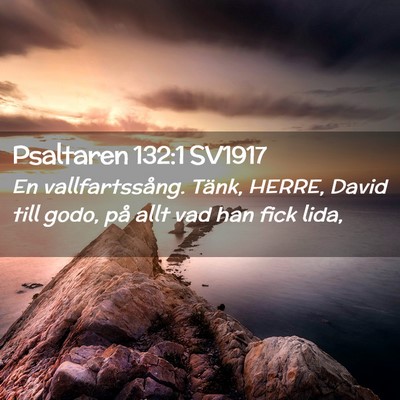 Picture 02 - Psaltaren 132:1 SV1917 - En vallfartssång. Tänk, HERRE, David till godo, - Bible Verse Picture