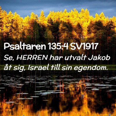 Picture 02 - Psaltaren 135:4 SV1917 - Se, HERREN har utvalt Jakob åt sig, Israel till - Bible Verse Picture
