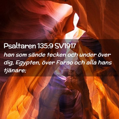 Picture 02 - Psaltaren 135:9 SV1917 - han som sände tecken och under över dig, - Bible Verse Picture
