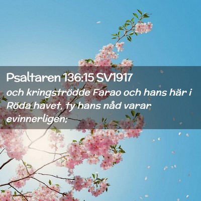 Picture 02 - Psaltaren 136:15 SV1917 - och kringströdde Farao och hans här i Röda - Bible Verse Picture