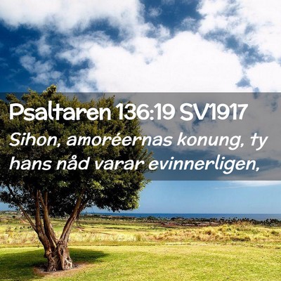 Picture 02 - Psaltaren 136:19 SV1917 - Sihon, amoréernas konung, ty hans nåd varar - Bible Verse Picture