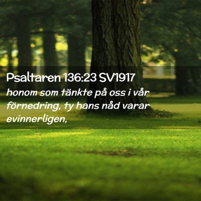 Picture 02 - Psaltaren 136:23 SV1917 - honom som tänkte på oss i vår förnedring, ty - Bible Verse Picture