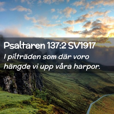 Picture 02 - Psaltaren 137:2 SV1917 - I pilträden som där voro hängde vi upp våra - Bible Verse Picture