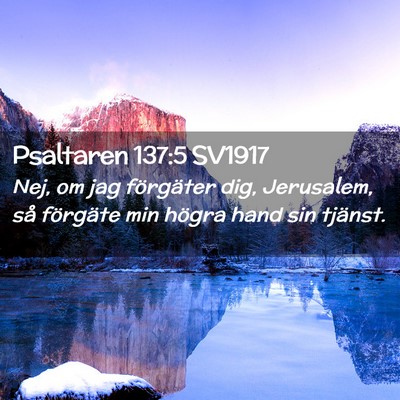 Picture 02 - Psaltaren 137:5 SV1917 - Nej, om jag förgäter dig, Jerusalem, så - Bible Verse Picture