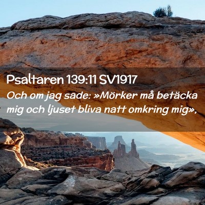 Picture 02 - Psaltaren 139:11 SV1917 - Och om jag sade: »Mörker må betäcka mig och - Bible Verse Picture