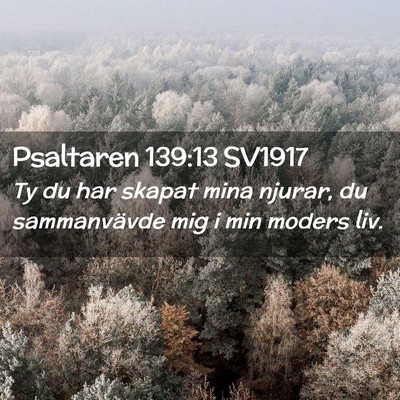 Picture 02 - Psaltaren 139:13 SV1917 - Ty du har skapat mina njurar, du sammanvävde mig - Bible Verse Picture