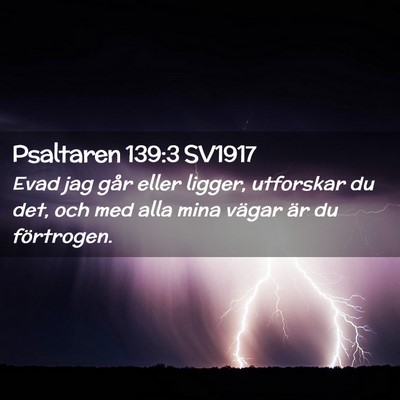 Picture 02 - Psaltaren 139:3 SV1917 - Evad jag går eller ligger, utforskar du det, och - Bible Verse Picture