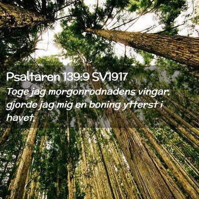 Picture 02 - Psaltaren 139:9 SV1917 - Toge jag morgonrodnadens vingar, gjorde jag mig - Bible Verse Picture