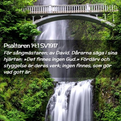 Picture 02 - Psaltaren 14:1 SV1917 - För sångmästaren; av David. Dårarna säga i - Bible Verse Picture