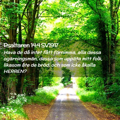 Picture 02 - Psaltaren 14:4 SV1917 - Hava de då intet fått förnimma, alla dessa - Bible Verse Picture