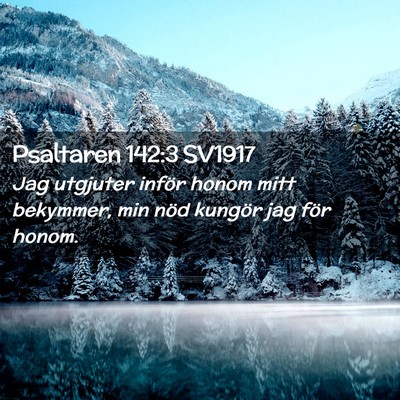 Picture 02 - Psaltaren 142:3 SV1917 - Jag utgjuter inför honom mitt bekymmer, min nöd - Bible Verse Picture