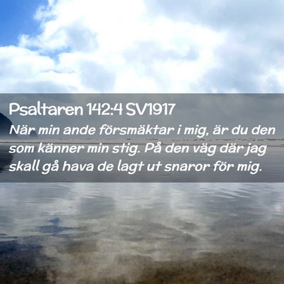 Picture 02 - Psaltaren 142:4 SV1917 - När min ande försmäktar i mig, är du den som - Bible Verse Picture