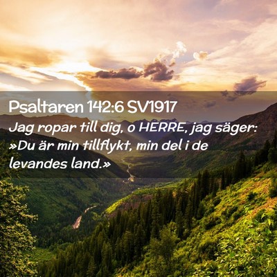 Picture 02 - Psaltaren 142:6 SV1917 - Jag ropar till dig, o HERRE, jag säger: »Du är - Bible Verse Picture