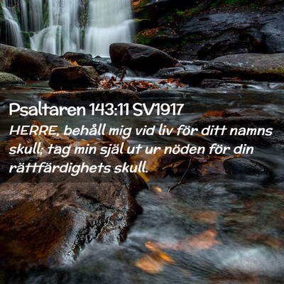 Picture 02 - Psaltaren 143:11 SV1917 - HERRE, behåll mig vid liv för ditt namns skull; - Bible Verse Picture