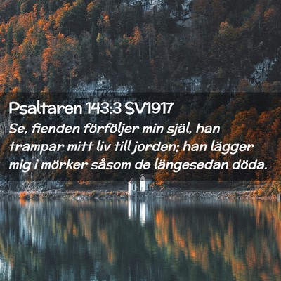 Picture 02 - Psaltaren 143:3 SV1917 - Se, fienden förföljer min själ, han trampar - Bible Verse Picture