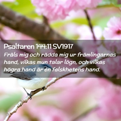 Picture 02 - Psaltaren 144:11 SV1917 - Fräls mig och rädda mig ur främlingarnas hand, - Bible Verse Picture