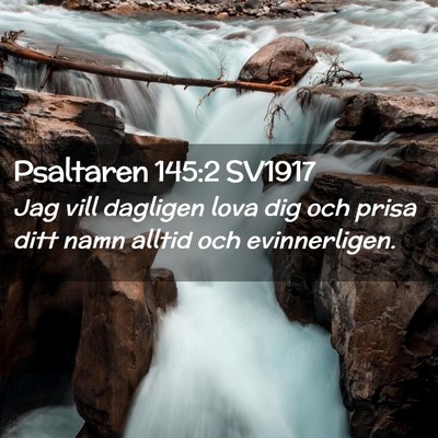 Picture 02 - Psaltaren 145:2 SV1917 - Jag vill dagligen lova dig och prisa ditt namn - Bible Verse Picture