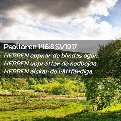 Picture 02 - Psaltaren 146:8 SV1917 - HERREN öppnar de blindas ögon, HERREN - Bible Verse Picture