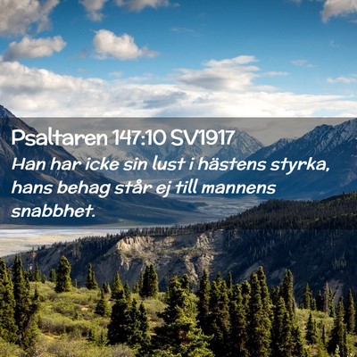 Picture 02 - Psaltaren 147:10 SV1917 - Han har icke sin lust i hästens styrka, hans - Bible Verse Picture