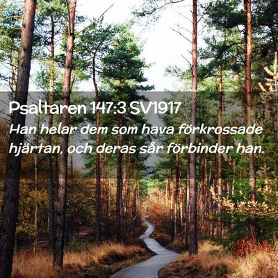 Picture 02 - Psaltaren 147:3 SV1917 - Han helar dem som hava förkrossade hjärtan, och - Bible Verse Picture