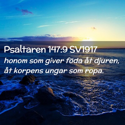 Picture 02 - Psaltaren 147:9 SV1917 - honom som giver föda åt djuren, åt korpens - Bible Verse Picture