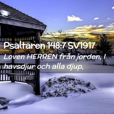Picture 02 - Psaltaren 148:7 SV1917 - Loven HERREN från jorden, I havsdjur och alla - Bible Verse Picture