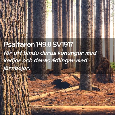 Picture 02 - Psaltaren 149:8 SV1917 - för att binda deras konungar med kedjor och - Bible Verse Picture