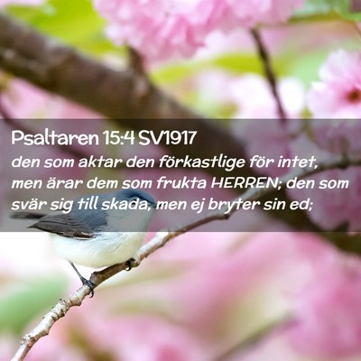 Picture 02 - Psaltaren 15:4 SV1917 - den som aktar den förkastlige för intet, men - Bible Verse Picture