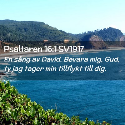 Picture 02 - Psaltaren 16:1 SV1917 - En sång av David. Bevara mig, Gud, ty jag tager - Bible Verse Picture