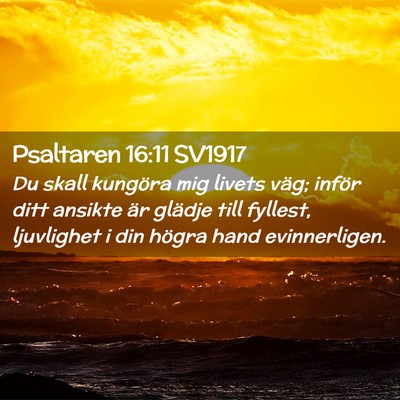 Picture 02 - Psaltaren 16:11 SV1917 - Du skall kungöra mig livets väg; inför ditt - Bible Verse Picture