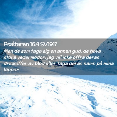 Picture 02 - Psaltaren 16:4 SV1917 - Men de som taga sig en annan gud, de hava stora - Bible Verse Picture