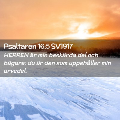 Picture 02 - Psaltaren 16:5 SV1917 - HERREN är min beskärda del och bägare; du är - Bible Verse Picture