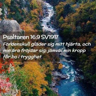 Picture 02 - Psaltaren 16:9 SV1917 - Fördenskull gläder sig mitt hjärta, och min - Bible Verse Picture