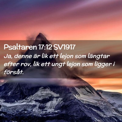 Picture 02 - Psaltaren 17:12 SV1917 - Ja, denne är lik ett lejon som längtar efter - Bible Verse Picture