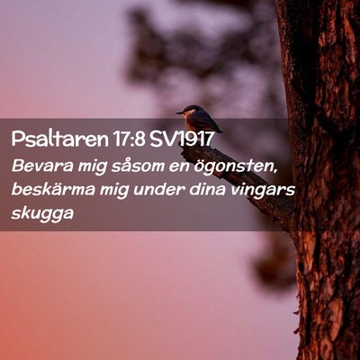 Picture 02 - Psaltaren 17:8 SV1917 - Bevara mig såsom en ögonsten, beskärma mig - Bible Verse Picture