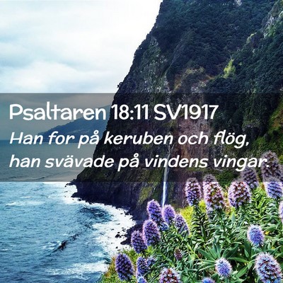 Picture 02 - Psaltaren 18:11 SV1917 - Han for på keruben och flög, han svävade på - Bible Verse Picture
