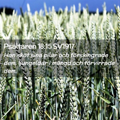 Picture 02 - Psaltaren 18:15 SV1917 - Han sköt sina pilar och förskingrade dem, - Bible Verse Picture