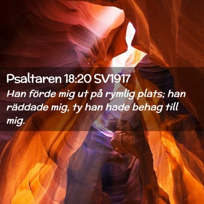 Picture 02 - Psaltaren 18:20 SV1917 - Han förde mig ut på rymlig plats; han räddade - Bible Verse Picture