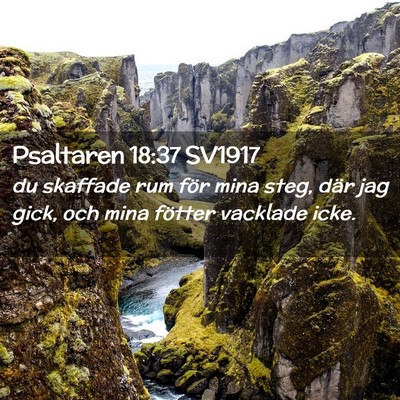 Picture 02 - Psaltaren 18:37 SV1917 - du skaffade rum för mina steg, där jag gick, - Bible Verse Picture