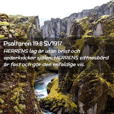 Picture 02 - Psaltaren 19:8 SV1917 - HERRENS lag är utan brist och vederkvicker - Bible Verse Picture