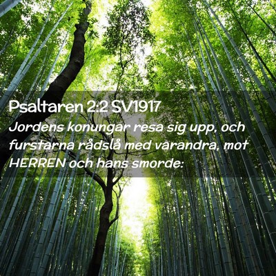 Picture 02 - Psaltaren 2:2 SV1917 - Jordens konungar resa sig upp, och furstarna - Bible Verse Picture