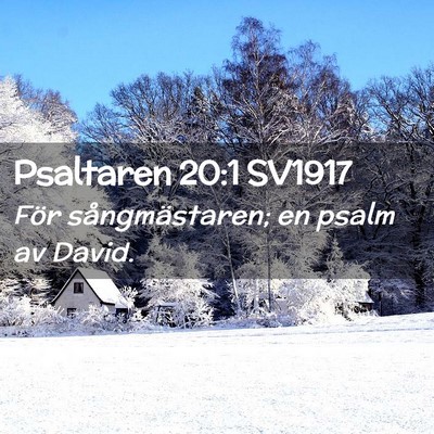 Picture 02 - Psaltaren 20:1 SV1917 - För sångmästaren; en psalm av - Bible Verse Picture
