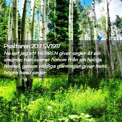 Picture 02 - Psaltaren 20:7 SV1917 - Nu vet jag att HERREN giver seger åt sin smorde; - Bible Verse Picture