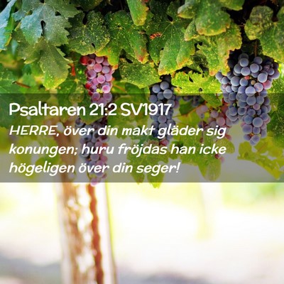 Picture 02 - Psaltaren 21:2 SV1917 - HERRE, över din makt gläder sig konungen; huru - Bible Verse Picture