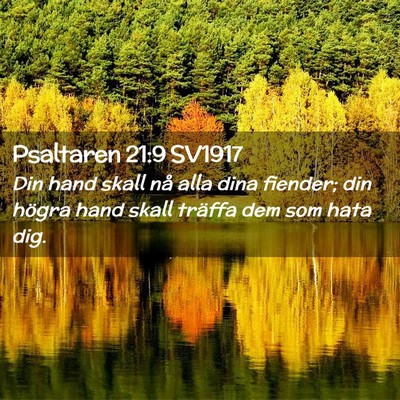 Picture 02 - Psaltaren 21:9 SV1917 - Din hand skall nå alla dina fiender; din högra - Bible Verse Picture
