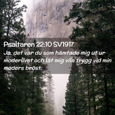 Picture 02 - Psaltaren 22:10 SV1917 - Ja, det var du som hämtade mig ut ur moderlivet - Bible Verse Picture