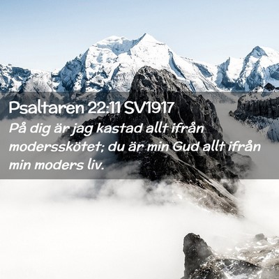 Picture 02 - Psaltaren 22:11 SV1917 - På dig är jag kastad allt ifrån modersskötet; - Bible Verse Picture