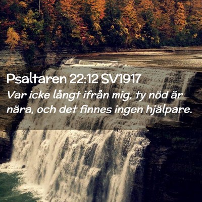 Picture 02 - Psaltaren 22:12 SV1917 - Var icke långt ifrån mig, ty nöd är nära, - Bible Verse Picture